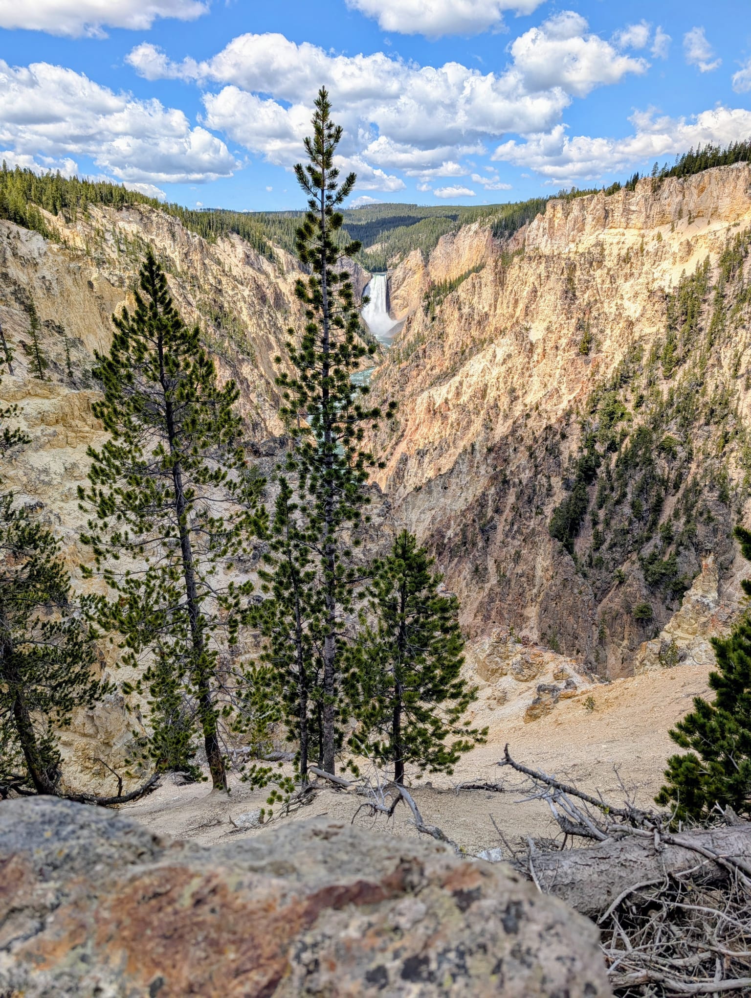 Yellostone (5)